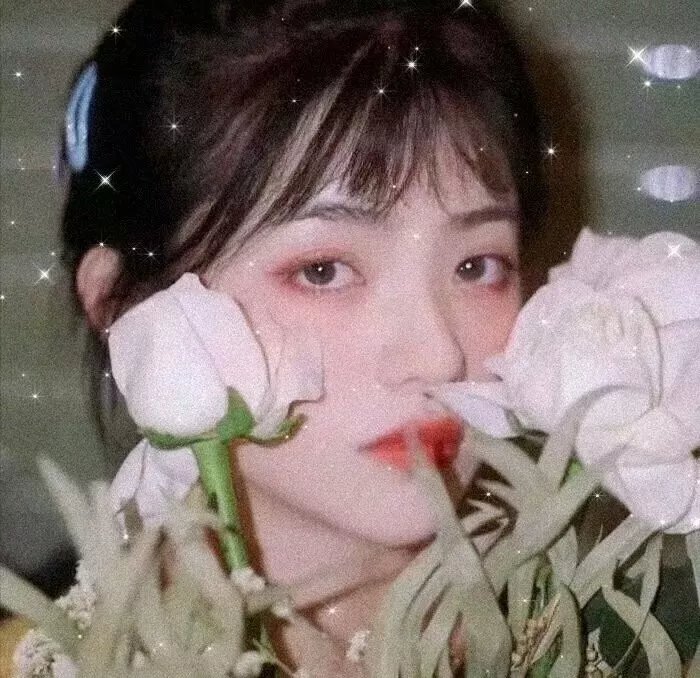 毒蛇之吻